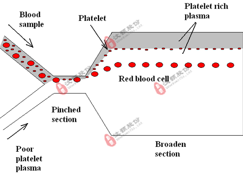 血栓診斷儀器與配套芯片委托開發(fā)