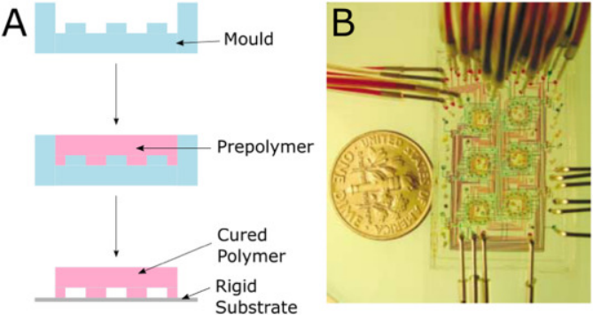 1674003766536942.png 2.png