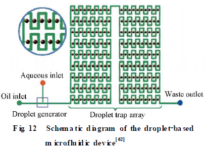 微流控芯片在模式生物水平化學研究技術