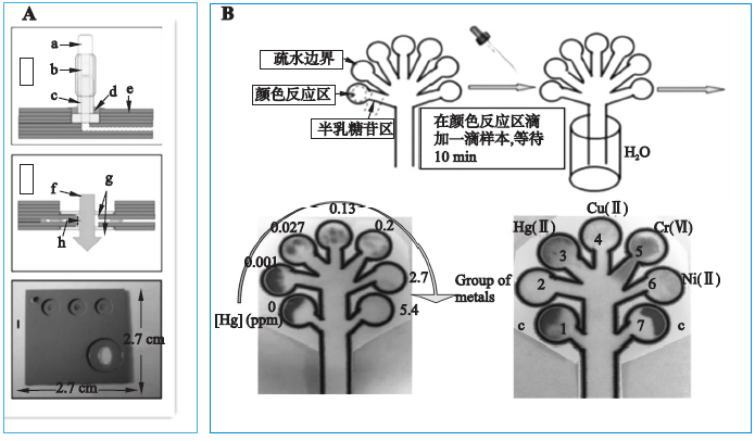 微流控芯片|微流控芯片批量加工