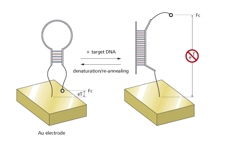 微流控芯片|微流控芯片批量加工