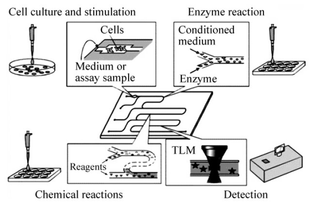 微流控芯片|微流控芯片批量加工
